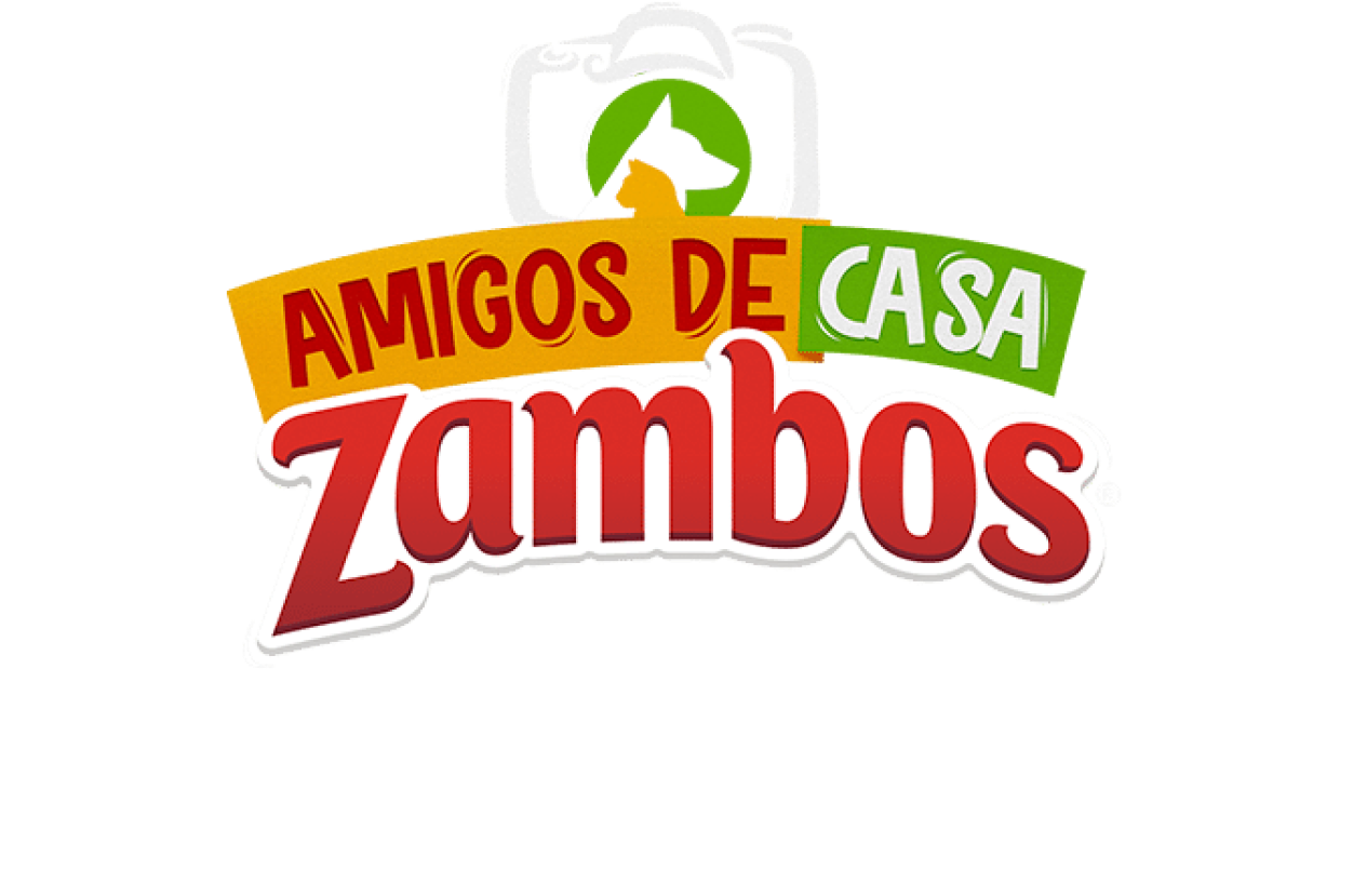 Amigos de casa